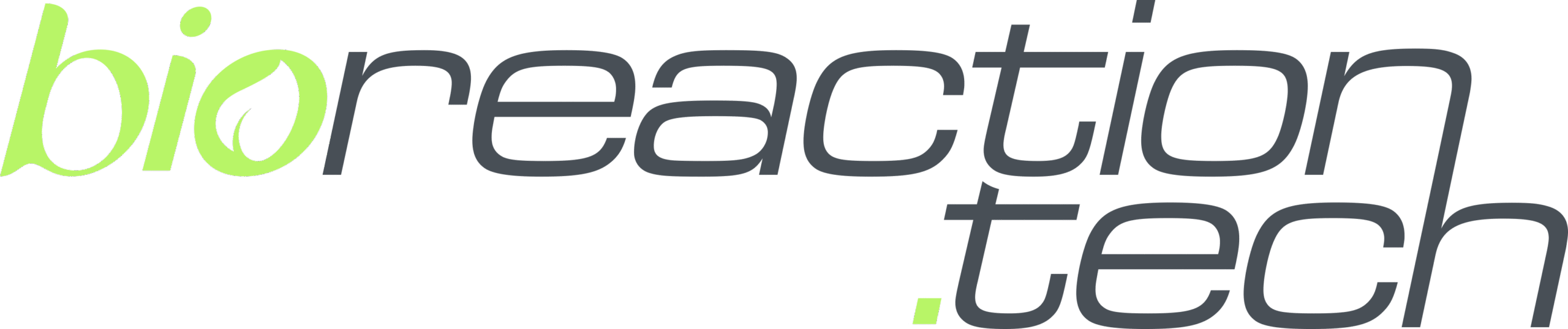 BioReaction Industries logo